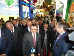 Выставка «Золотая осень — 2012». Фото: Владимир Пожарский